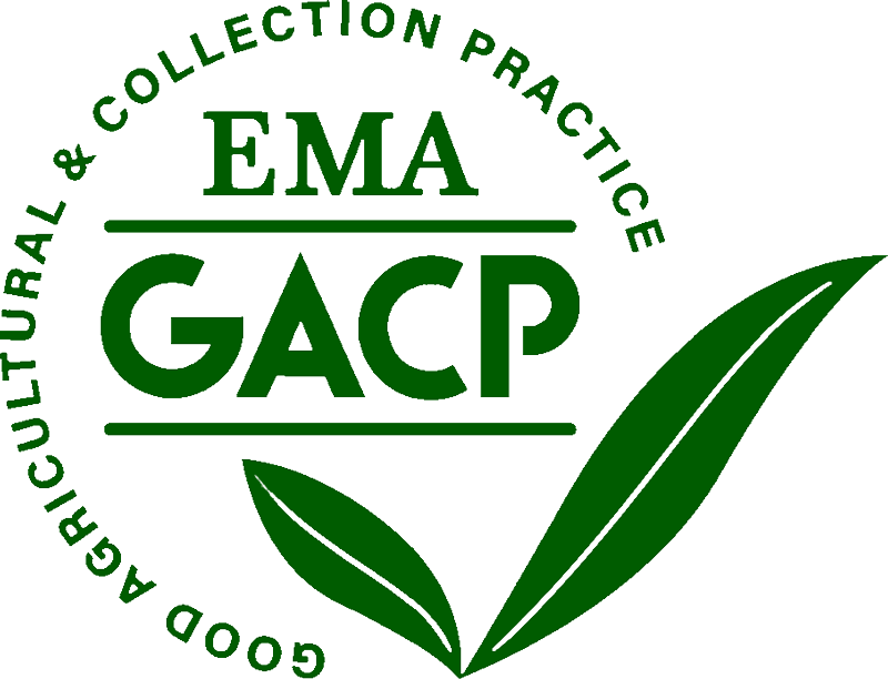 GACP logo green